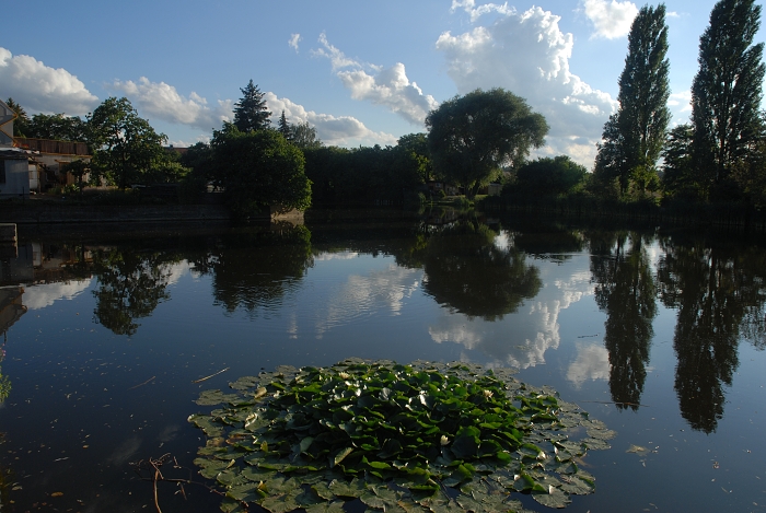 Braškovský rybník