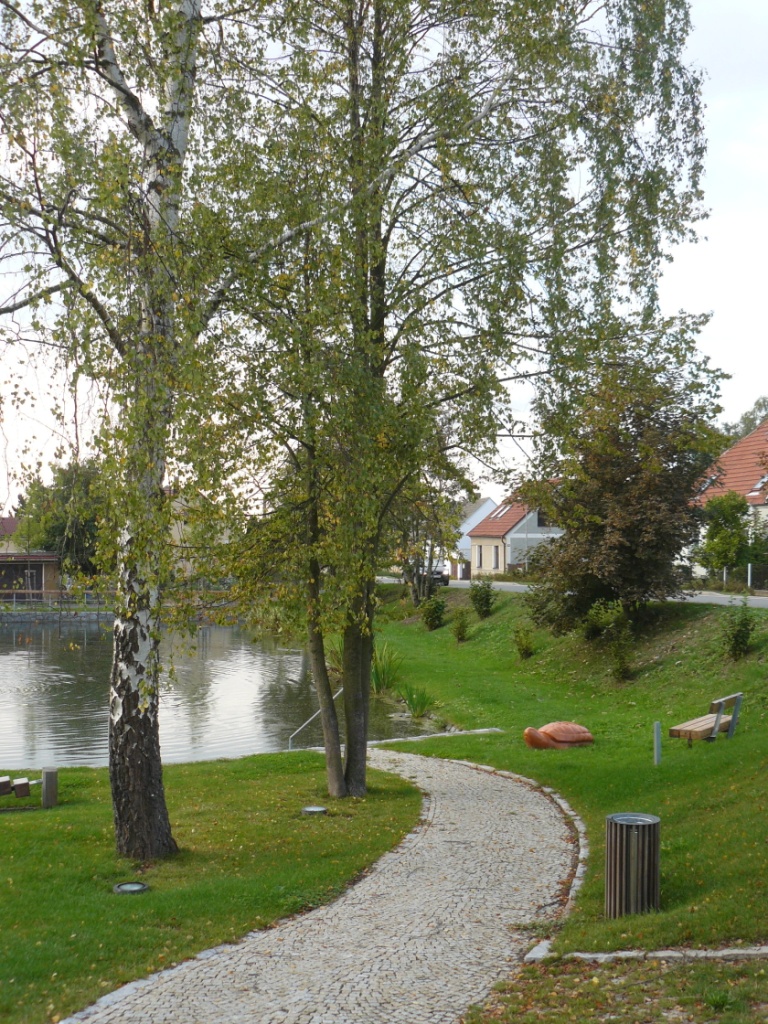 Foto valdeckého rybníka a okolí č.6.